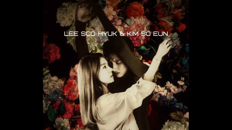 Lee Soo Hyuk Kim So Eun