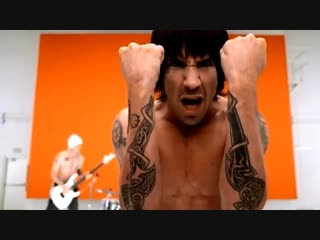 Red Hot Chili Peppers - Can't Stop (Cant Stop)