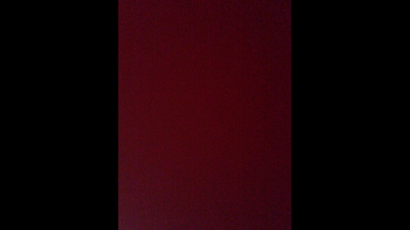 Михаил Торгашов — Live