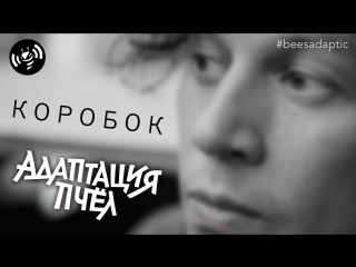 Коробок :: Адаптация Пчёл :: Александр Буслов