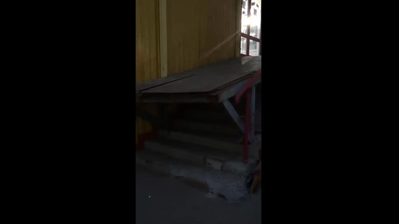 VID_166860604_094409_309(0).mp4
