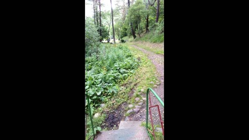 крыницы на нарочи