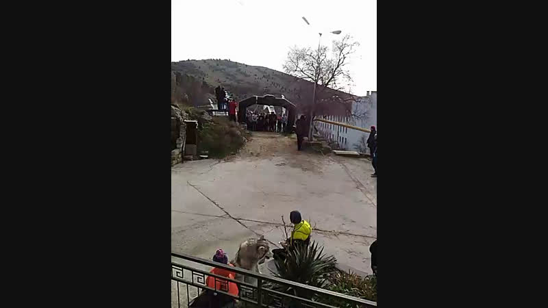 забег на бочку