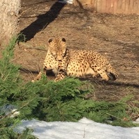 Андрей Андропов | Москва