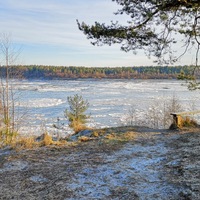 Александр Попов