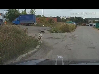 На бульваре Миттова в Чебоксарах мужчина и женщина увидели на дороге кошку