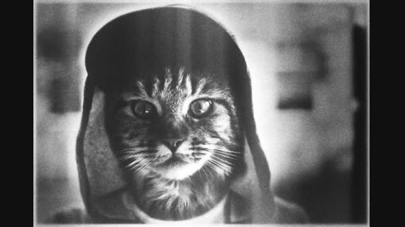 И пусть весь мир катится в ж@пу.