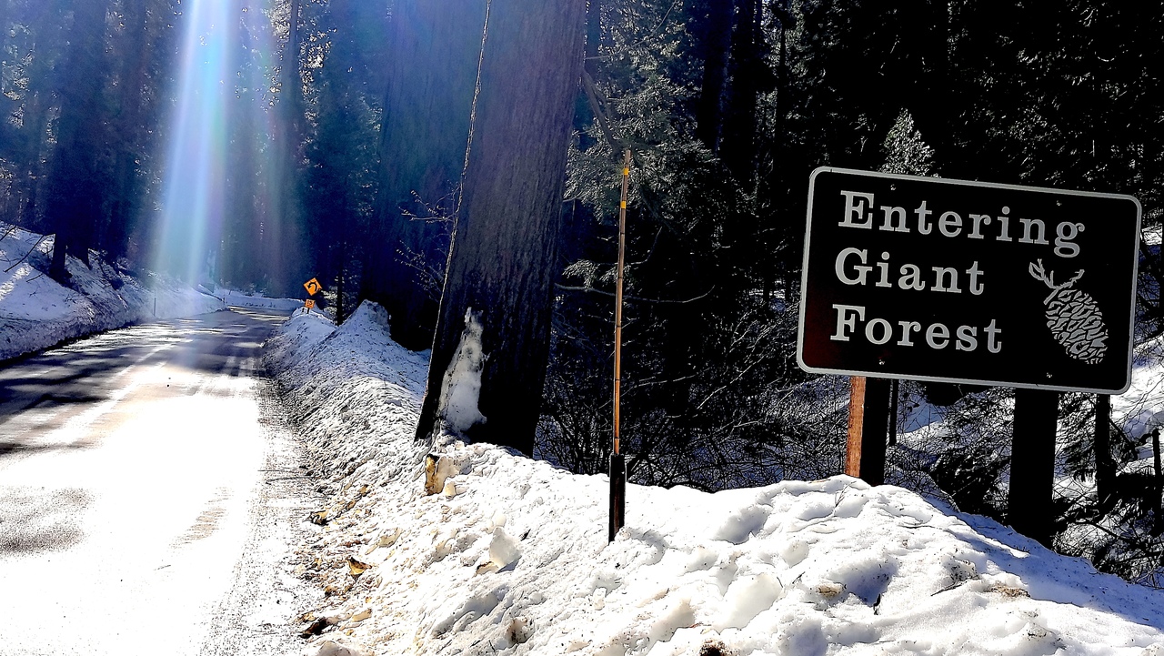 Ударим автопробегом по дикому западу! USA 2019 7-25 марта.