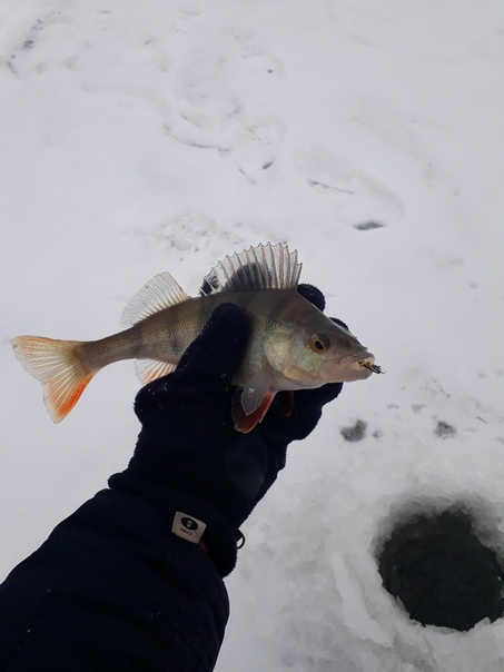 Рыбалка — Псковское озеро, Псковская область, 57.869, 27.934