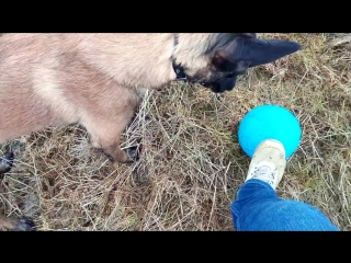 Jolly Soccer Ball 20 см