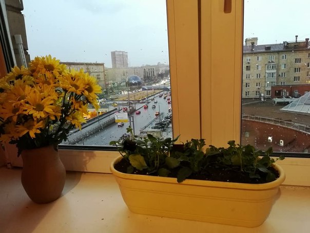 КОМНАТА В ДВУХКОМНАТНОЙ КВАРТИРЕ<br>26 000 р.<br>Просторная комната в прекрасной двухкомнатной квартире - 26 000 р. + депозит за последний месяц (возвращается при выезде). <br>Для девушки!<br>Планировали снимать квартиру с подругой, но в последний момент у нее изменились планы.<br>Заезд в ближайшее время.<br>Ст. м. Сокол, Ленинградский проспект, от метро 1 минута пешком. Огороженная территория, возможность парковки машины, великолепный вид из окна, прекрасная инфраструктура, магазины рядом на любой вкус, йога-студии, салоны красоты, много парковых зон.<br>Пожелания к будущей соседке: осознанность, платежеспособность, чистоплотность, отсутствие вредных привычек, уважение личного пространства, позитивный взгляд на жизнь!)<br>Агентам, семейным парам, молодым людям и не очень - просьба не беспокоить/ться.<br>тел. 89151905515 - фото Фото: КОМНАТА В ДВУХКОМНАТНОЙ КВАРТИРЕ<br>26 000 р.<br>Просторная комната в прекрасной двухкомнатной квартире - 26 000 р. + депозит за последний месяц (возвращается при выезде). <br>Для девушки!<br>Планировали снимать квартиру с подругой, но в последний момент у нее изменились планы.<br>Заезд в ближайшее время.<br>Ст. м. Сокол, Ленинградский проспект, от метро 1 минута пешком. Огороженная территория, возможность парковки машины, великолепный вид из окна, прекрасная инфраструктура, магазины рядом на любой вкус, йога-студии, салоны красоты, много парковых зон.<br>Пожелания к будущей соседке: осознанность, платежеспособность, чистоплотность, отсутствие вредных привычек, уважение личного пространства, позитивный взгляд на жизнь!)<br>Агентам, семейным парам, молодым людям и не очень - просьба не беспокоить/ться.<br>тел. 89151905515