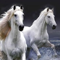 Евгения Серебренникова |