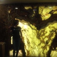 Ника Полянская