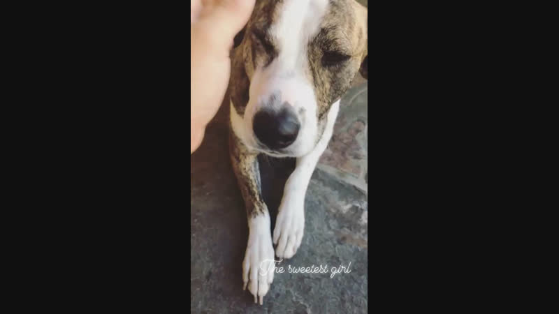 Taylor Lautner via IG Story 57
