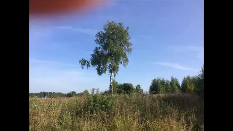 репортаж из Пасегово Мой край