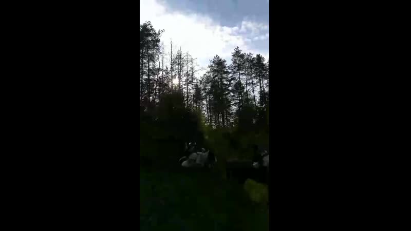 Video_2019-05-22_14-34-01