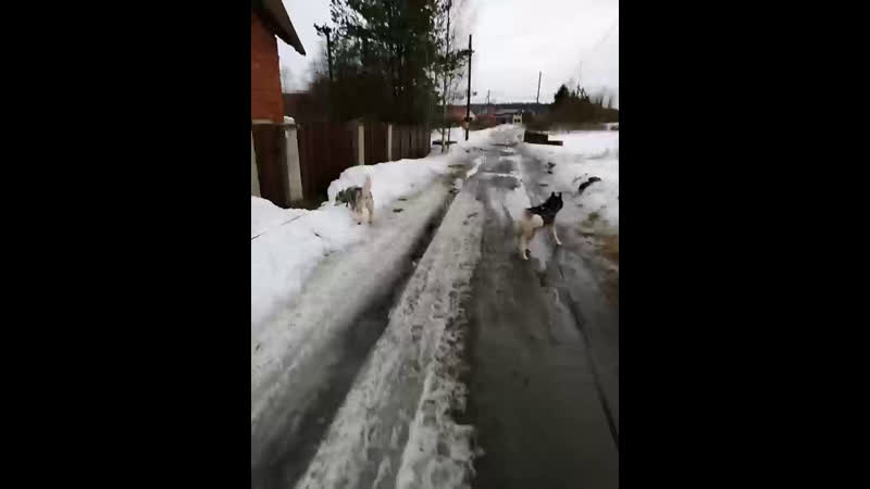 гуляем
