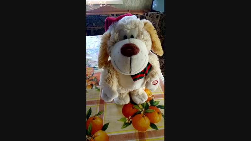новогодний песик