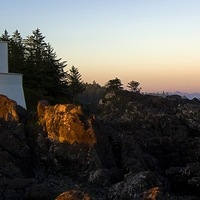 Виктор Алексеев | Таллин