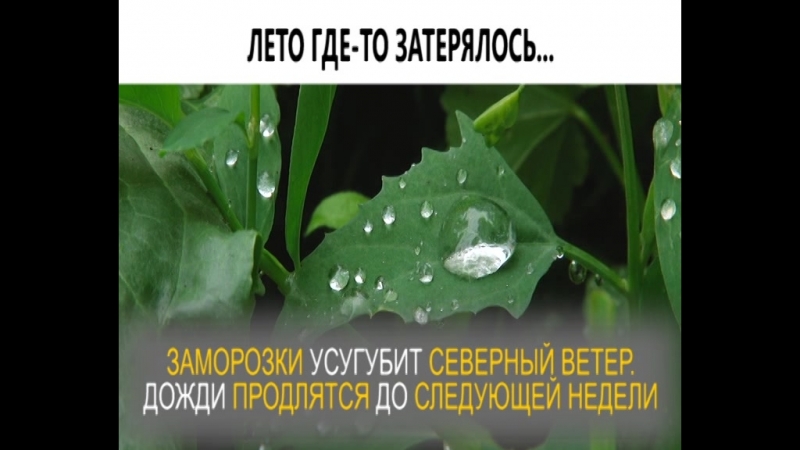 Лето где-то затерялось...