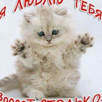 Никита Добролюбов | Санкт-Петербург
