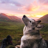 Руфина Берг