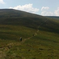 Дима Грищенко