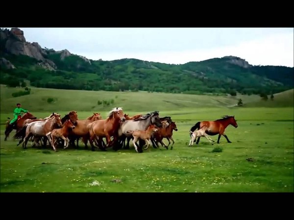Zegen - Altargana feat Anda Union