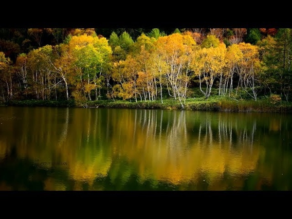 STIVE MORGAN - Once Again Autumn