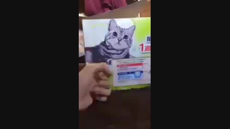 Vine Video