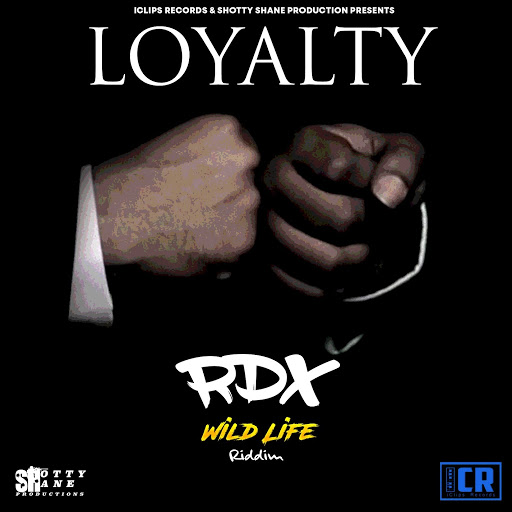TÉLÉCHARGER RDX EVERYBODY DANCE GRATUIT DANCE EVERYBODY TÉLÉCHARGER GRATUIT RDX