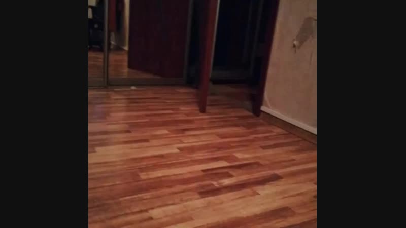 VID_38630819_092605_359.mp4