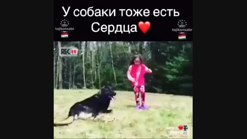 2d177e30cf2b053436ef69cd64641fd3.mp4
