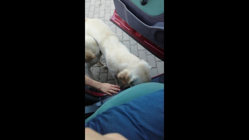 VID_20180921_180421.mp4
