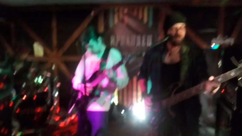 Stink palm в Ирландце