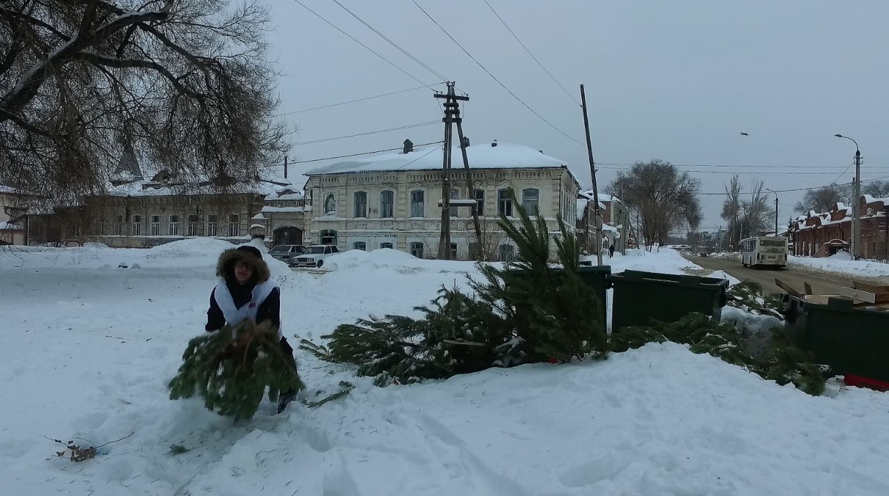 Молодогвардейцы устроили у Управления отходами Аллею позора из новогодних елок