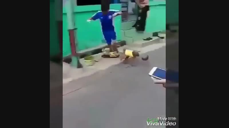 Беспредельщица