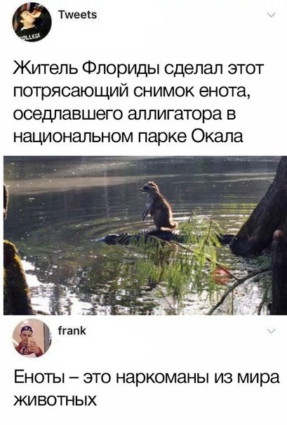 угарные фоточки