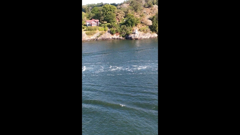 VID_20180625_171204.mp4