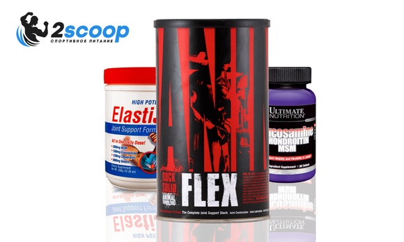 2sn l-carnitine + guarana
