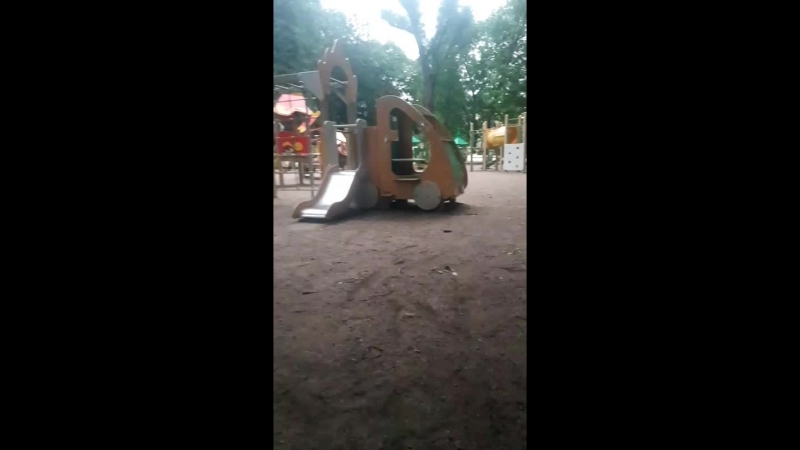 бельчёнок в космос