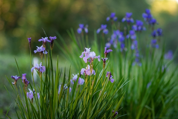 фотография из вКонтакте