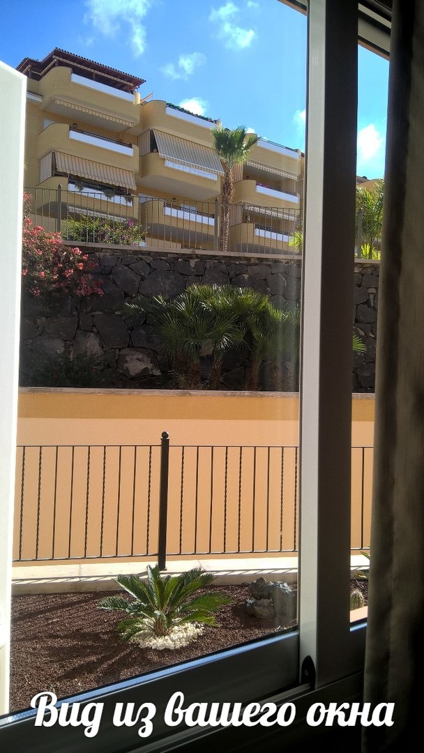 1-2 попутчиков в январе на юг Тенерифе