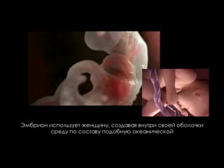 Рождение человека / Human birth (2013)