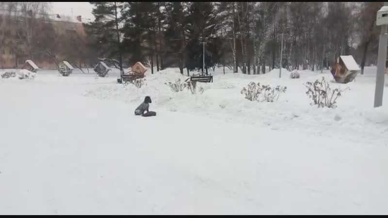 Выдержка Пава