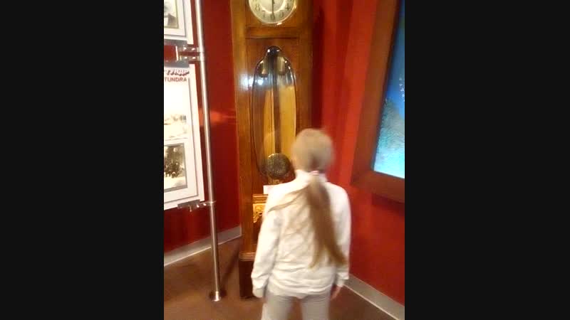 VID_20190103_171227.mp4