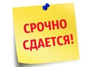 Объявление от Nina - фото №1