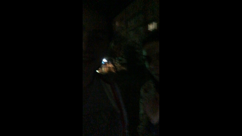 Августина Беккер — Live