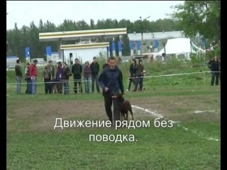 Шигаев Роман и доберман Онда из Звездных врат. BH. Соревнования по дрессировке “Город и собака“. Самара, 15 мая 2010.