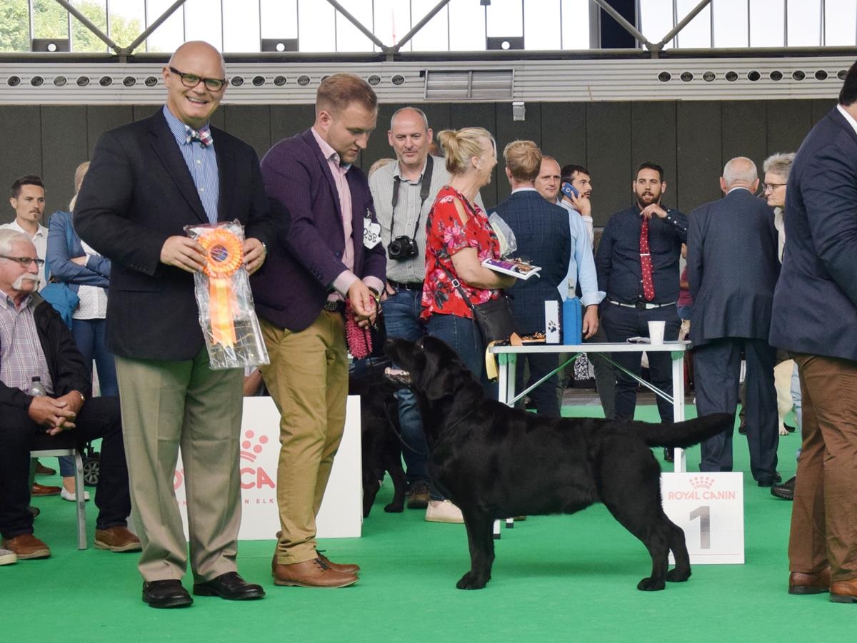 World Dog Show (Чемпионат мира собак) в 2018 году World Dog Show (Чемпионат мира собак) в 2018 году